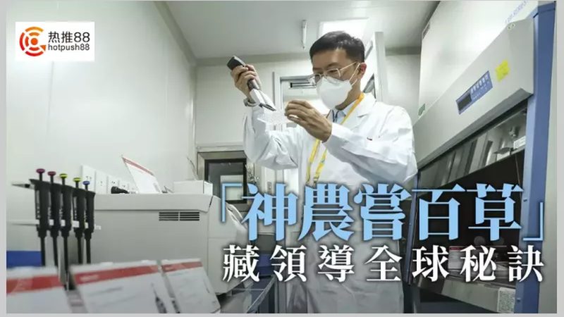 引物合成的关键步骤：定制流程解析**