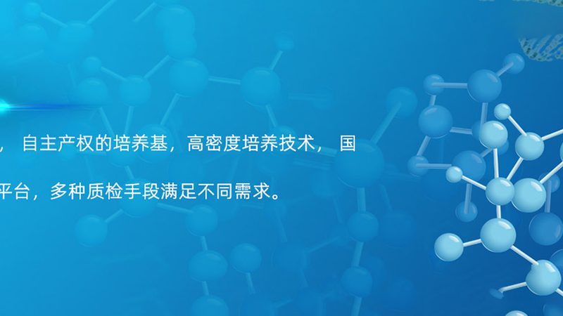国产PCR检测仪器：揭秘其核心技术与选型要点