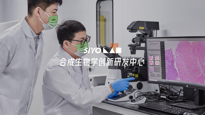 CRS行业规范标准：构建医药研发的坚实基石