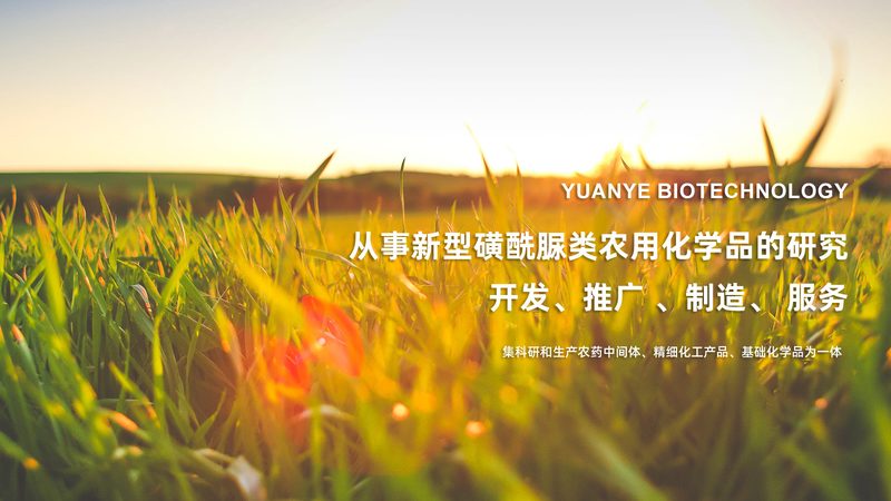 科研用分子生物学试剂品牌