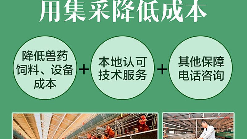 逆转录试剂盒：如何挑选性价比之选**