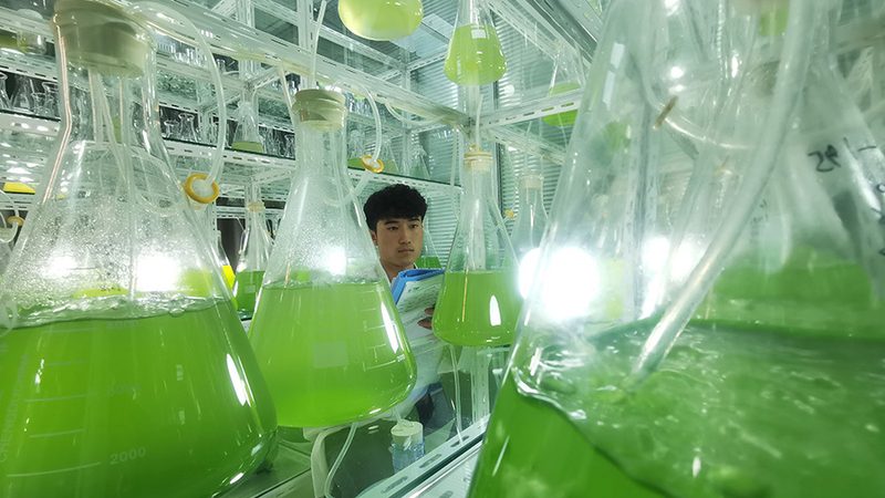 PCR检测加急服务之所以能在几小时内出结果，主要得益于以下几个因素：